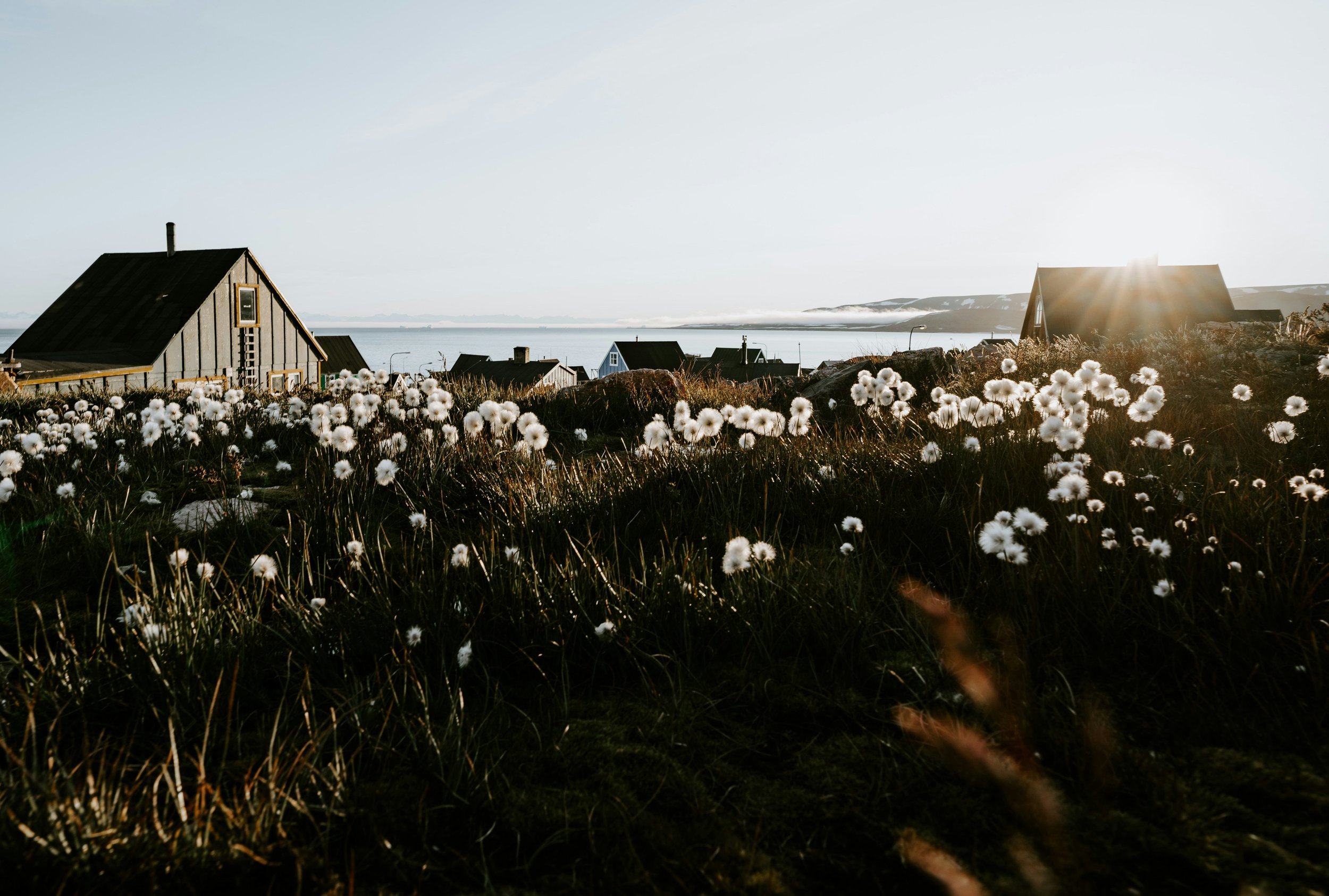  Remote Ittoqqortoormiit, Greenland at sundown | Photo by&nbsp; Annie Spratt &nbsp;on&nbsp; Unsplash  