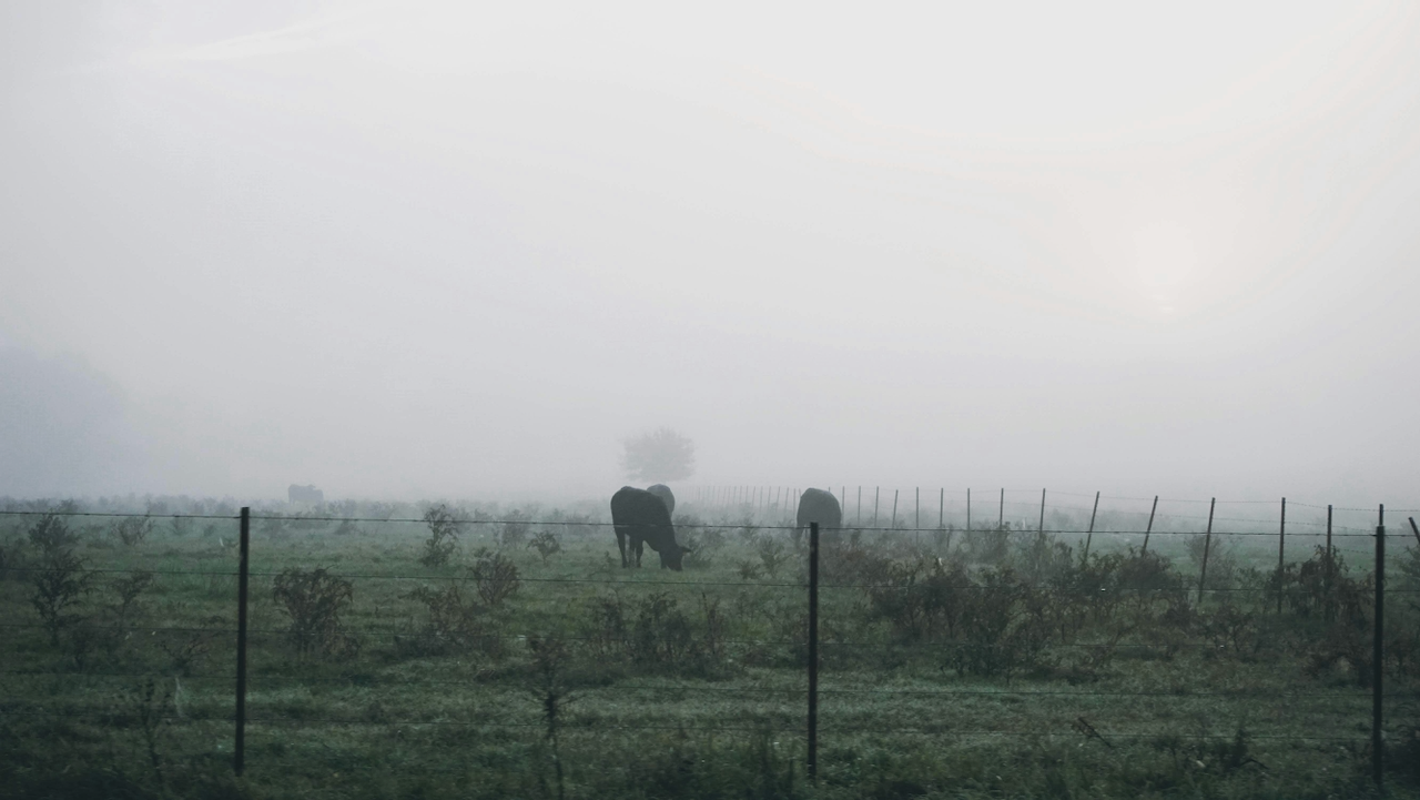  Photo by  Brad  on  Unsplash  