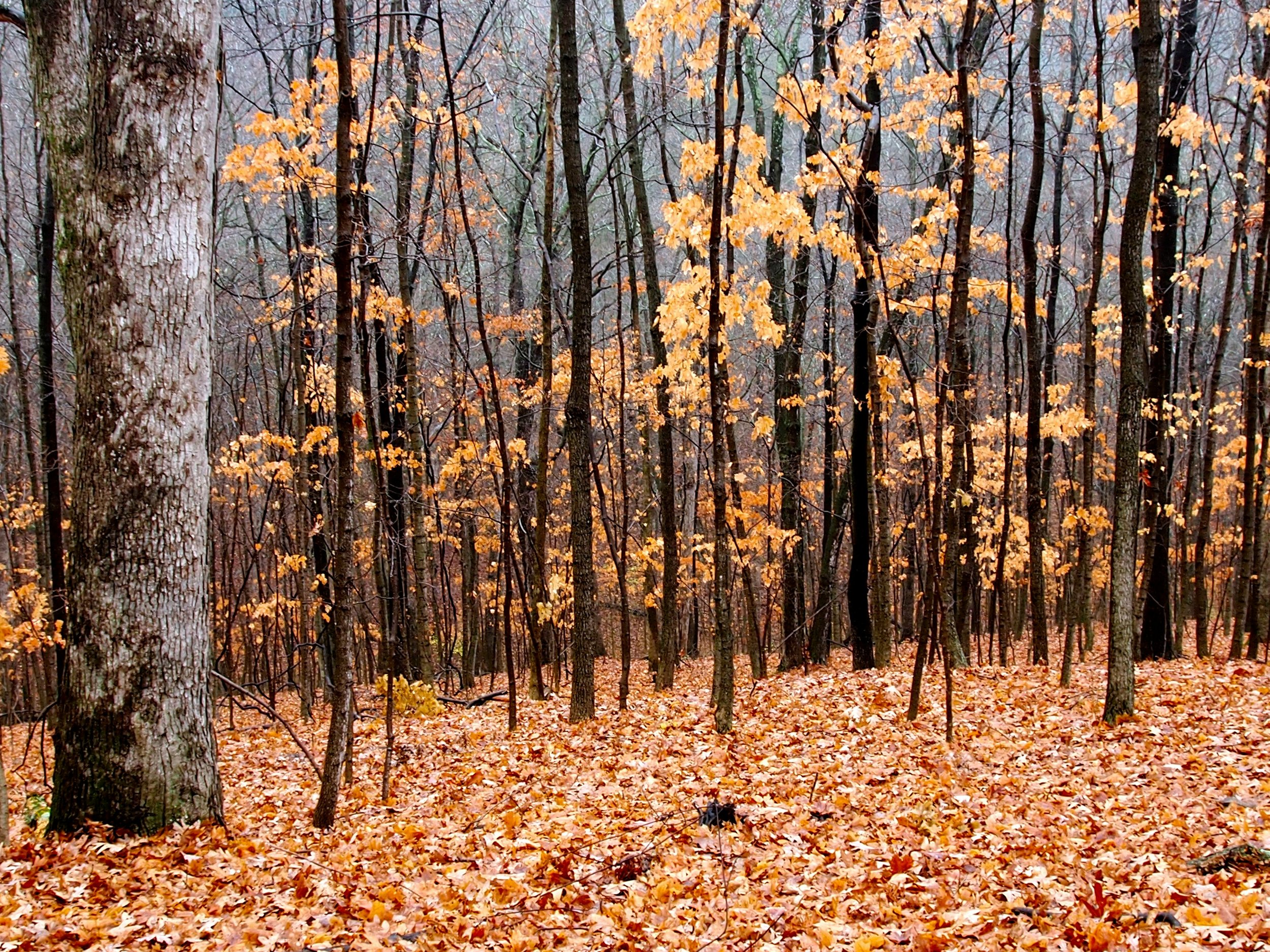  Photo by  Gabrielle Corley  on  Unsplash         