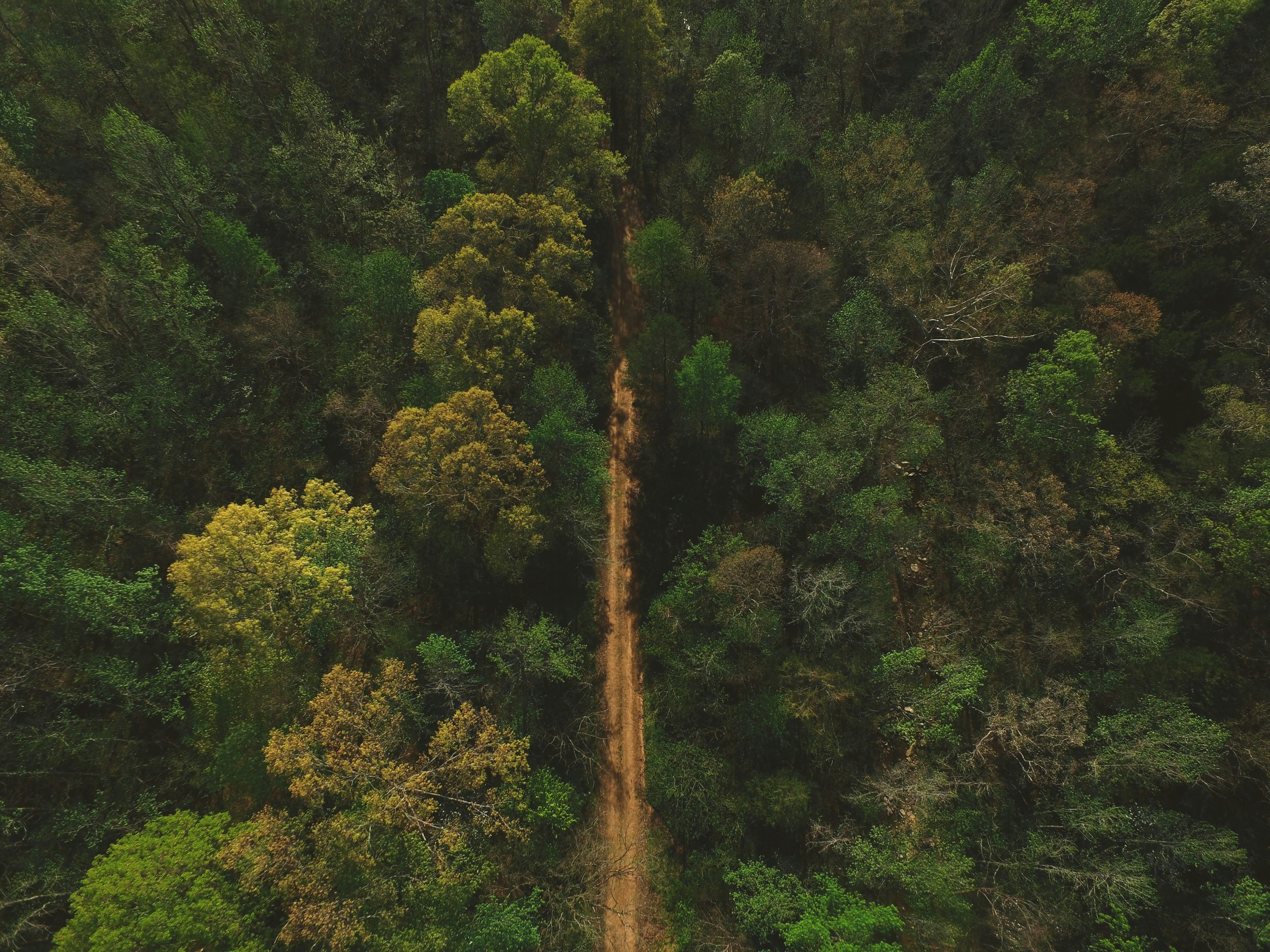  Photo by  Ozark Drones  on  Unsplash  