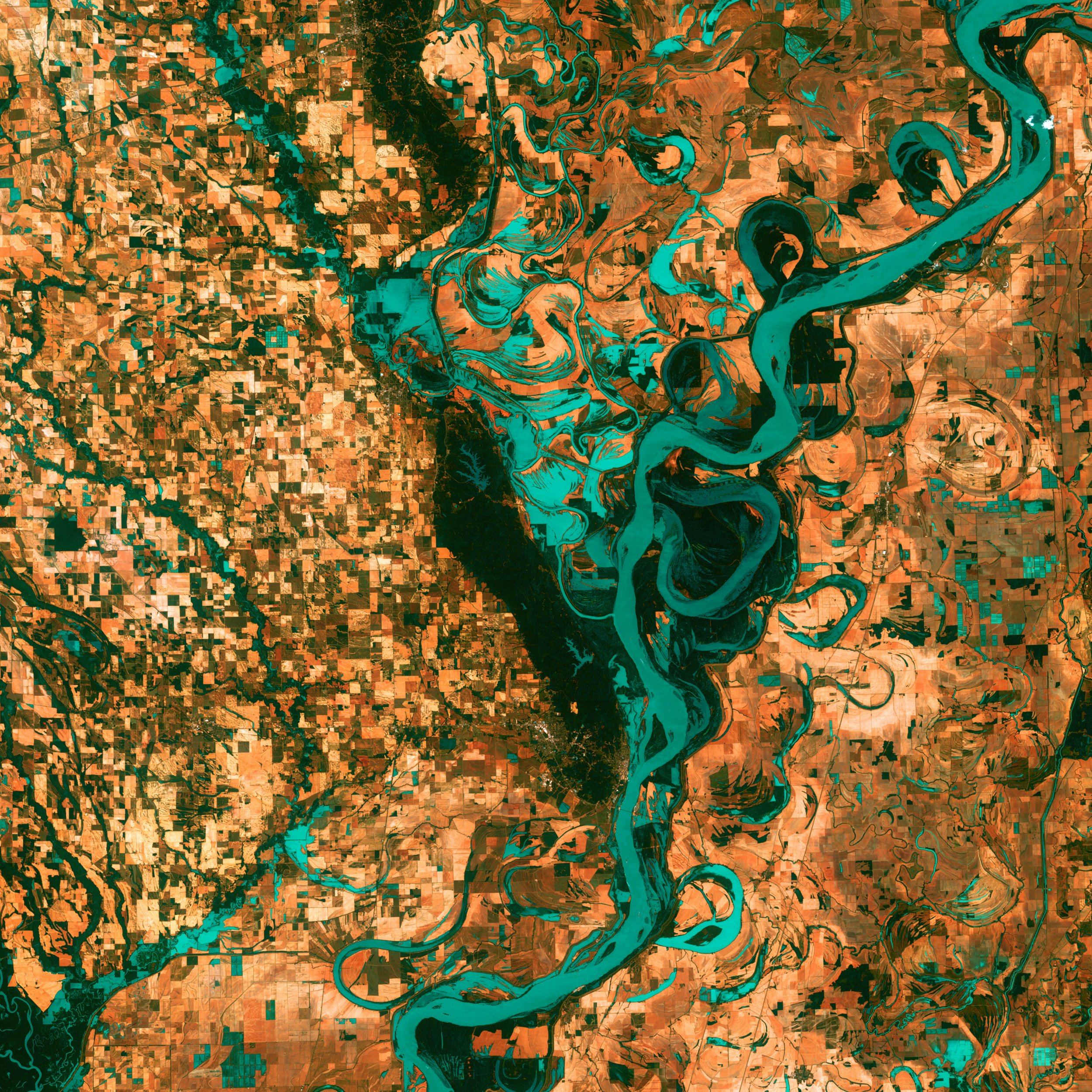  Small, blocky shapes of towns, fields, and pastures surround the graceful swirls and whorls of the Mississippi River. Countless oxbow lakes and cutoffs accompany the meandering river south of Memphis, Tennessee, on the border between Arkansas and Mississippi, USA. The 