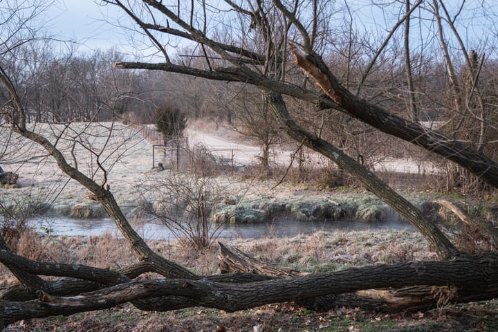 the story of Northwest Arkansas with Mike Rusch.